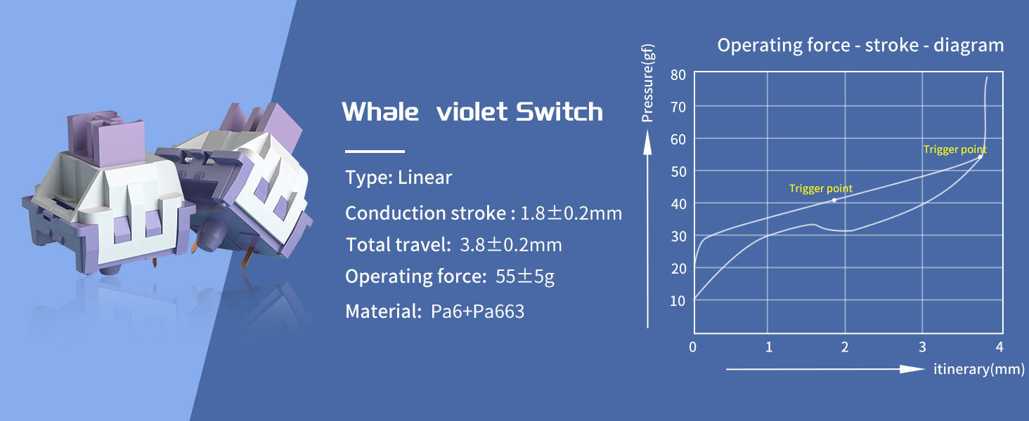 MageGee Gsket Violet A - Silver Violet Switch