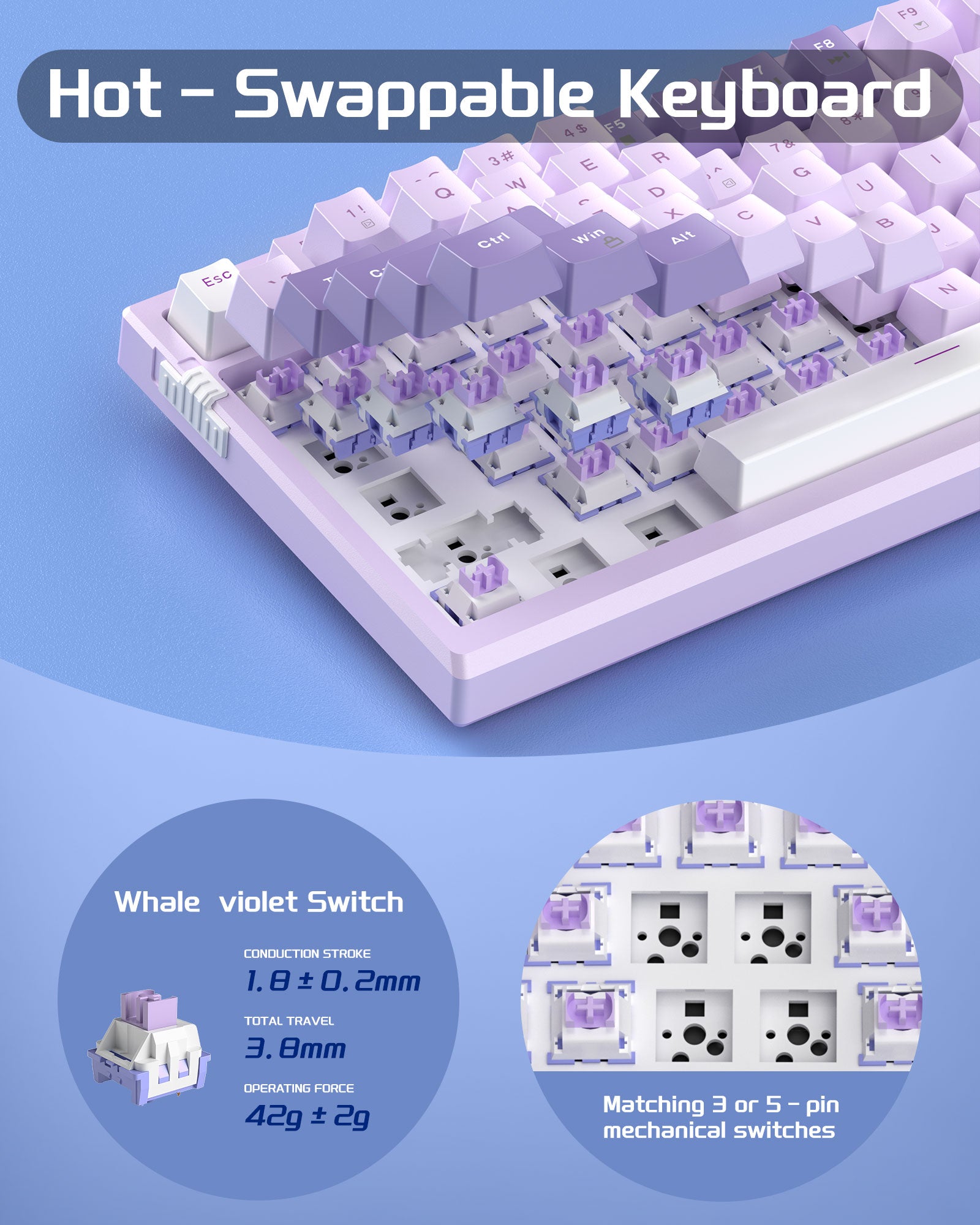 MageGee Gsket Violet A - Silver Violet Switch