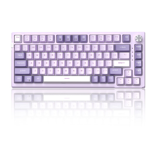 MageGee Gsket Violet A - Silver Violet Switch