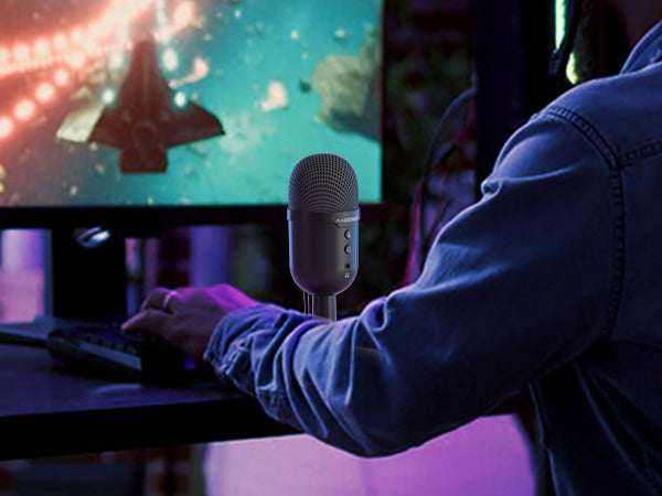 Fantasy Magegee - Black Microphone