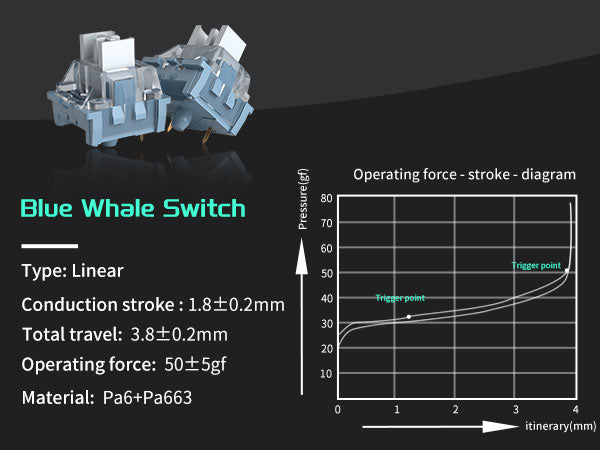 MageGee Gsket Dark B - Silver Switch