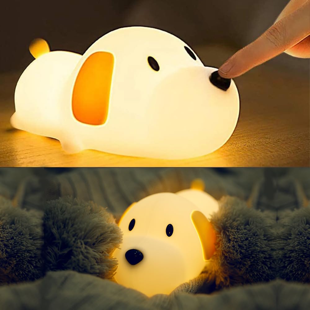 Touch LED Light - بوشي
