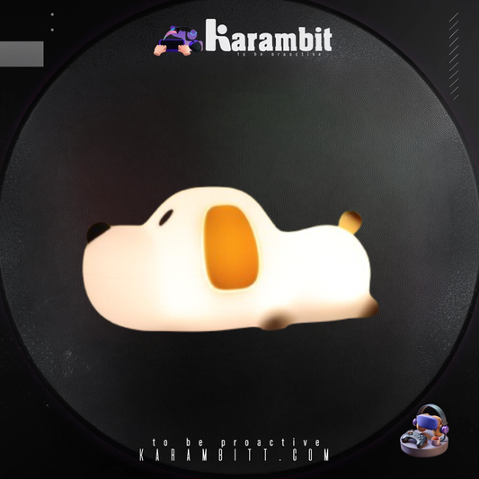 Touch LED Light - بوشي