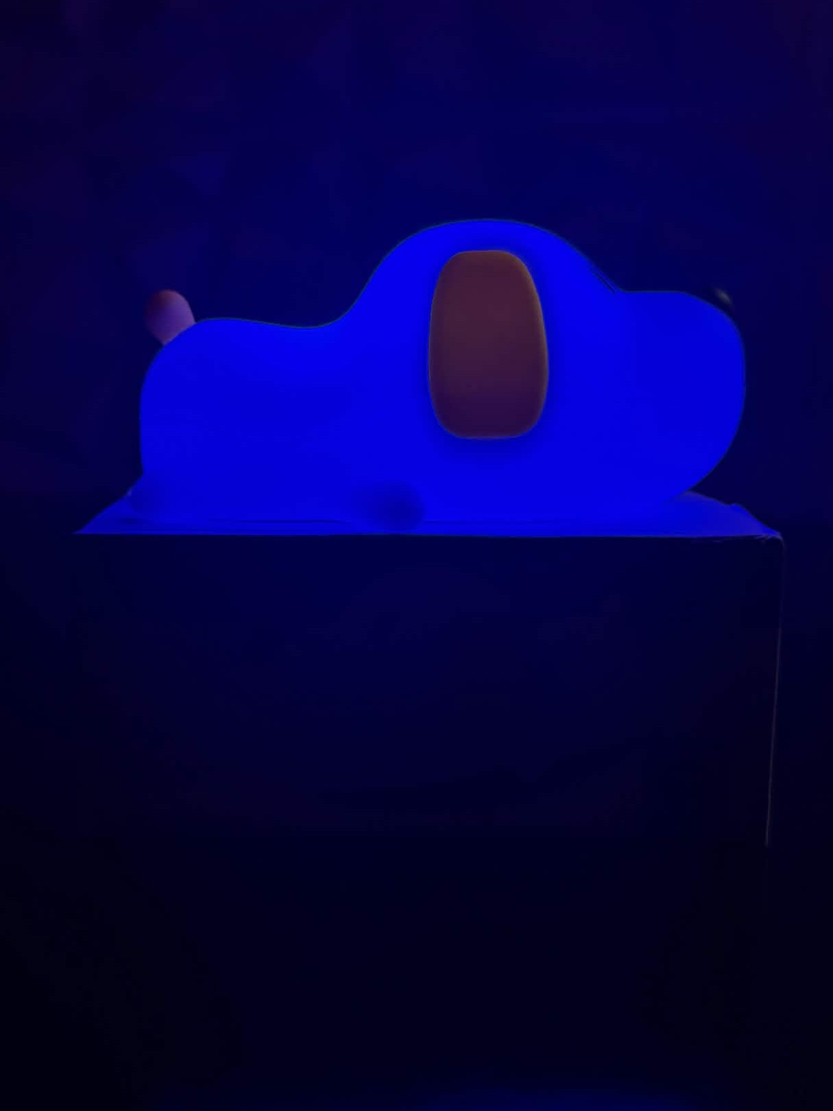 Touch LED Light - بوشي