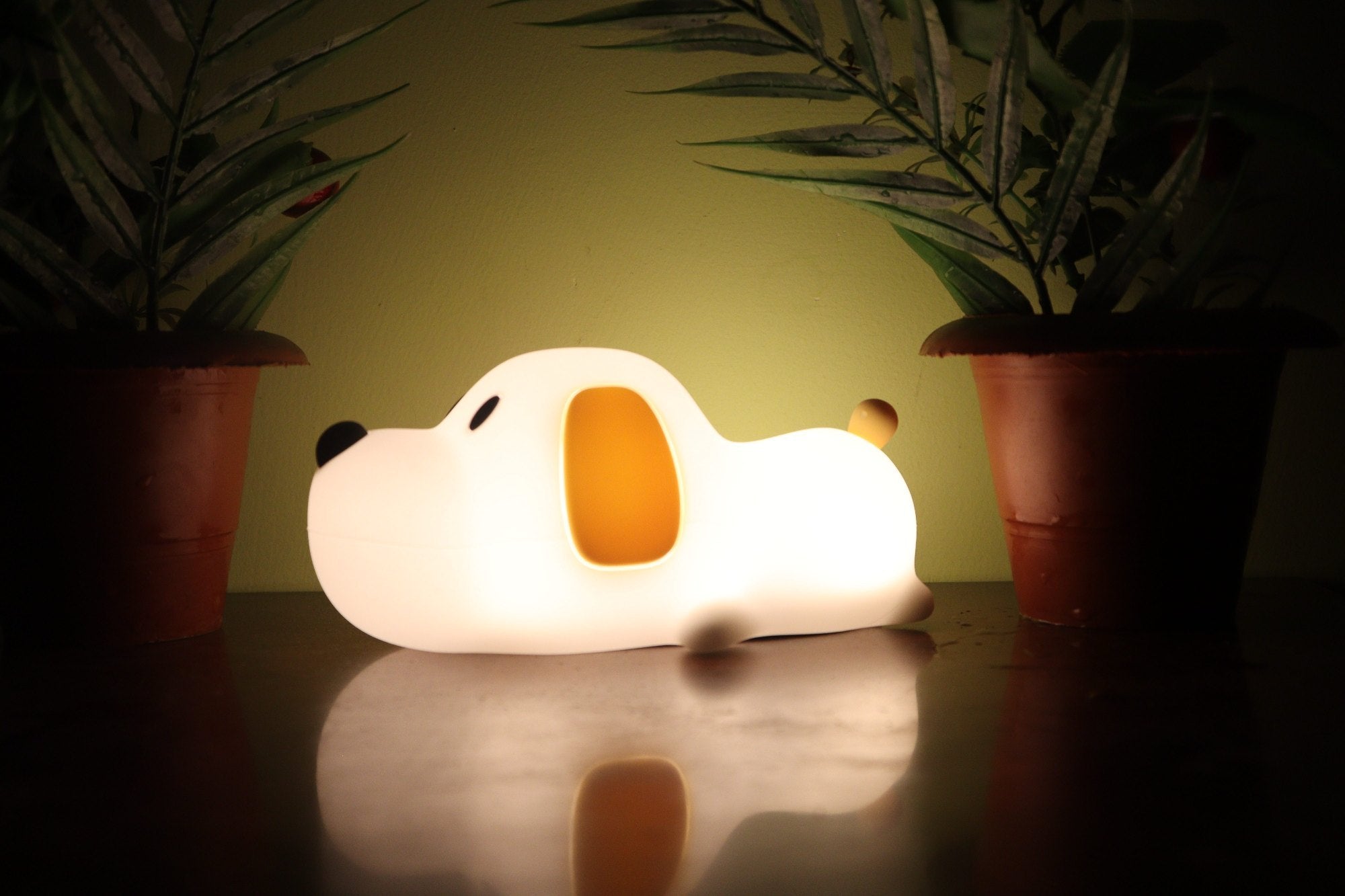 Touch LED Light - بوشي